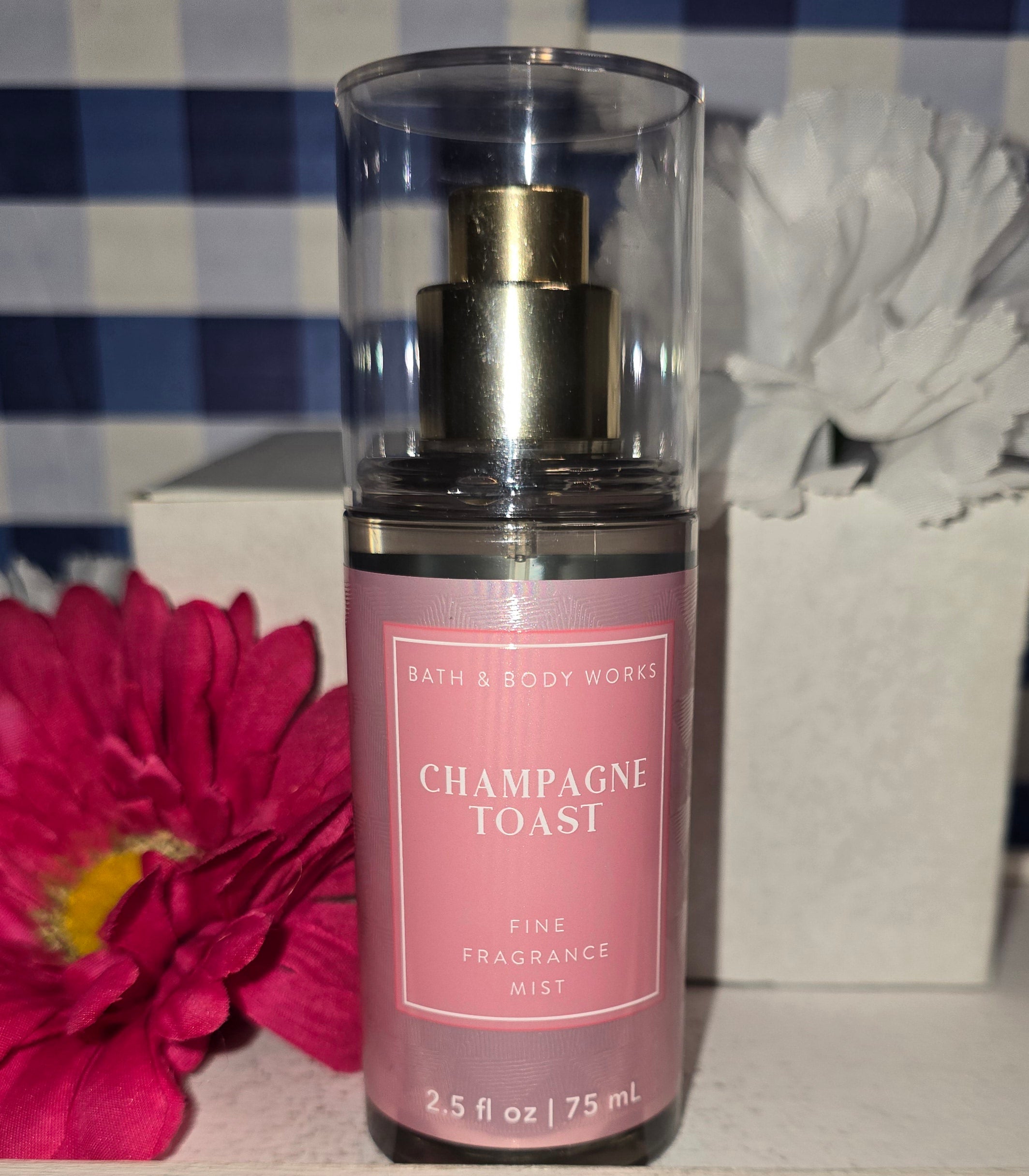 Bath and Body cheapest Works Champagne Toast